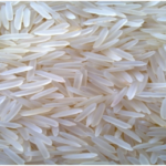 basmati_rice-500x259